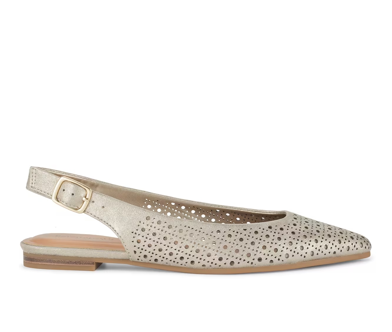151658-women-x27-s-baretraps-riva-slingback-flats-1.jpg